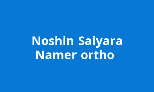Noshin Saiyara