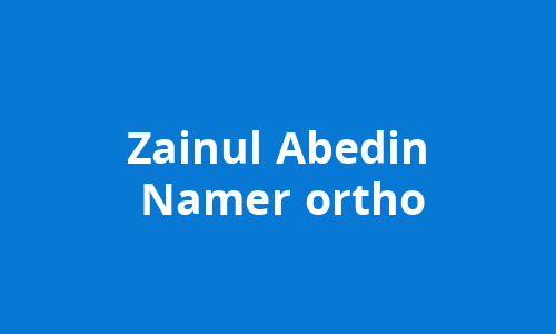 Zainul Abedin